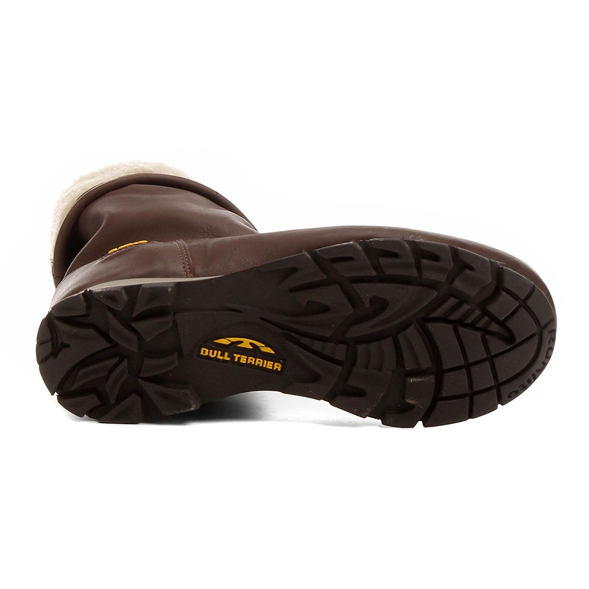 bull terrier snow trail