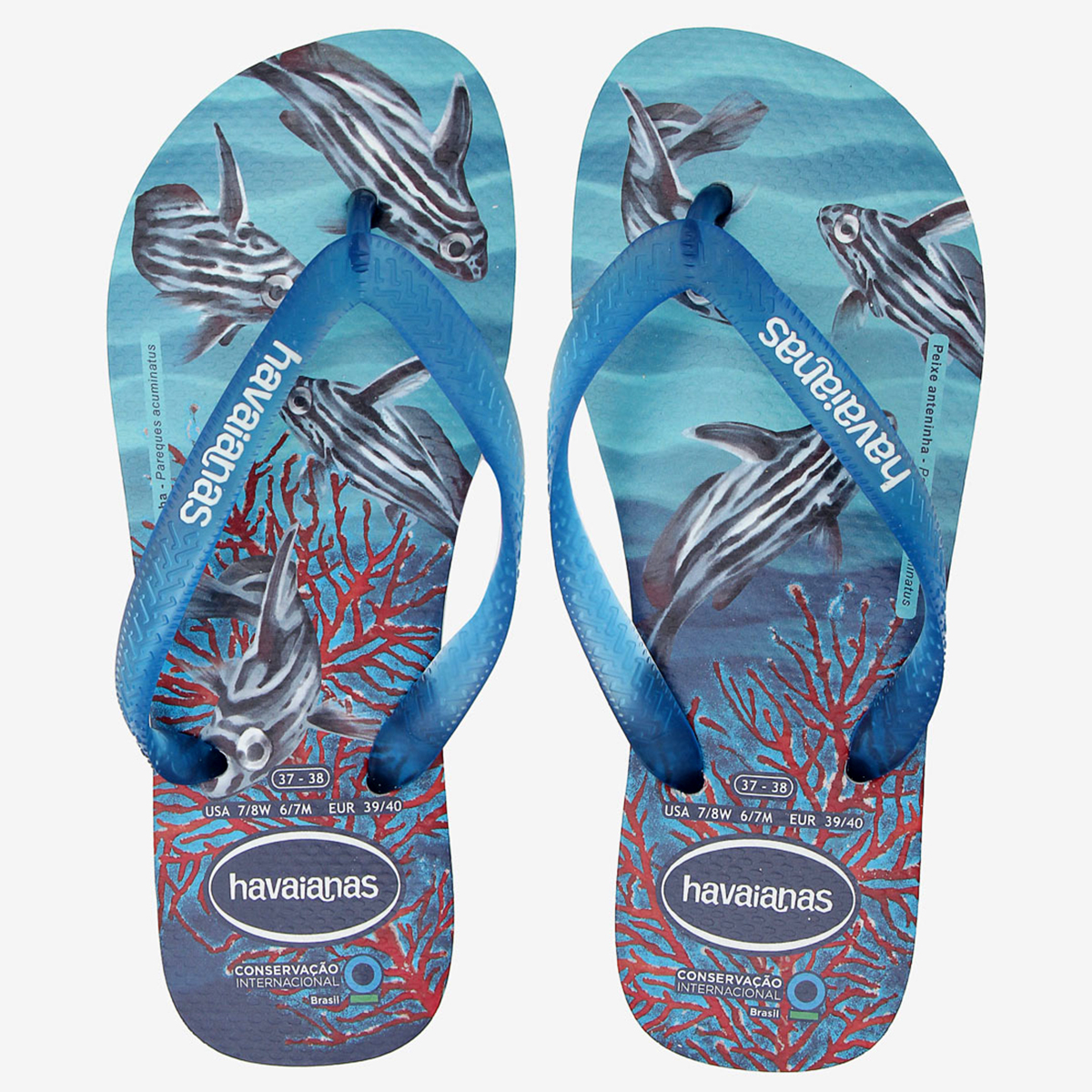 havaianas international